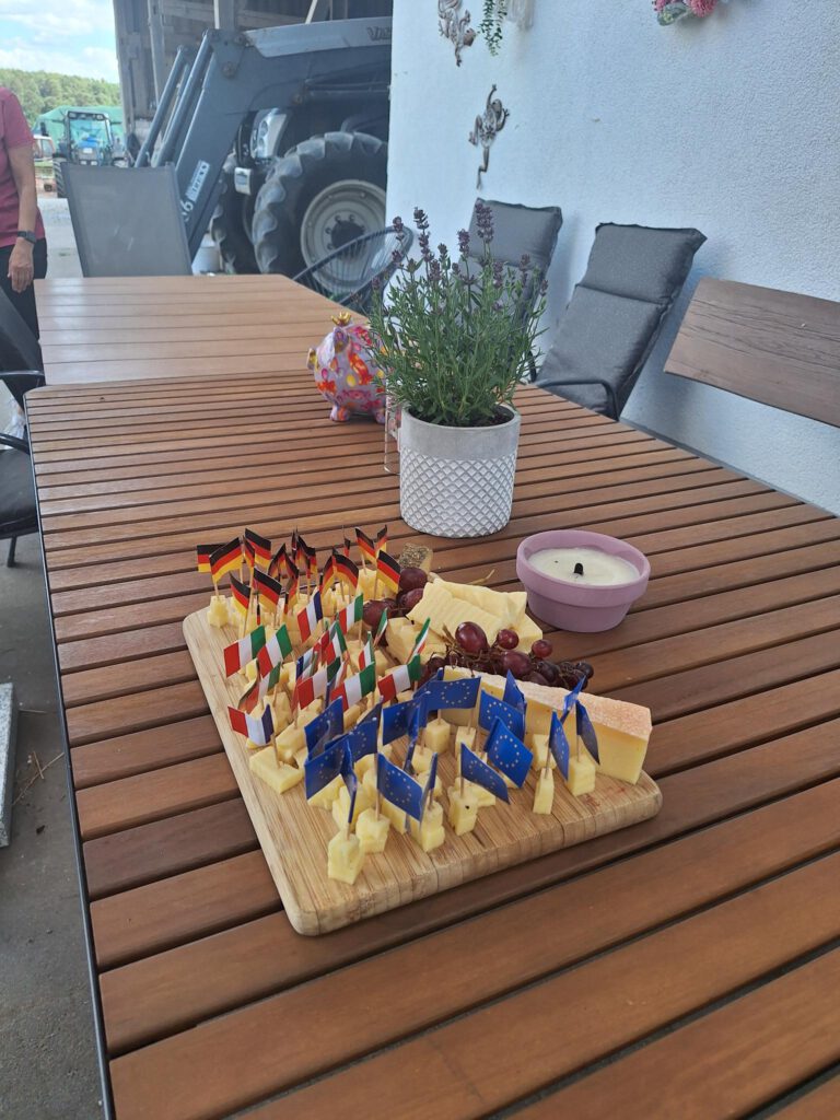 Leckere Käseplatte